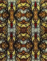 krzysztof_vorbrodt_Z_cyklu_symetriady_ok_1978------200