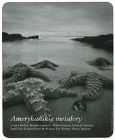 Amerykanskie-metafory---200